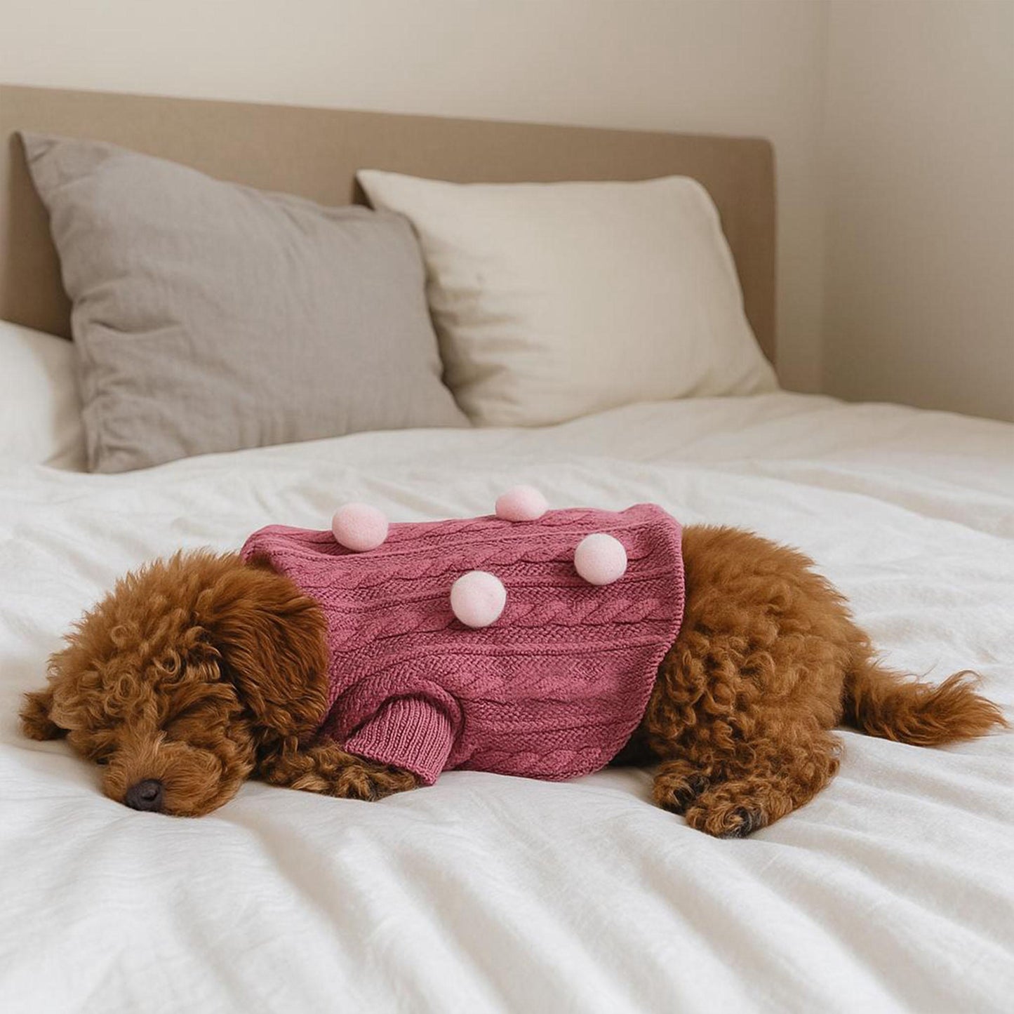 CHOMPA POMPOM
