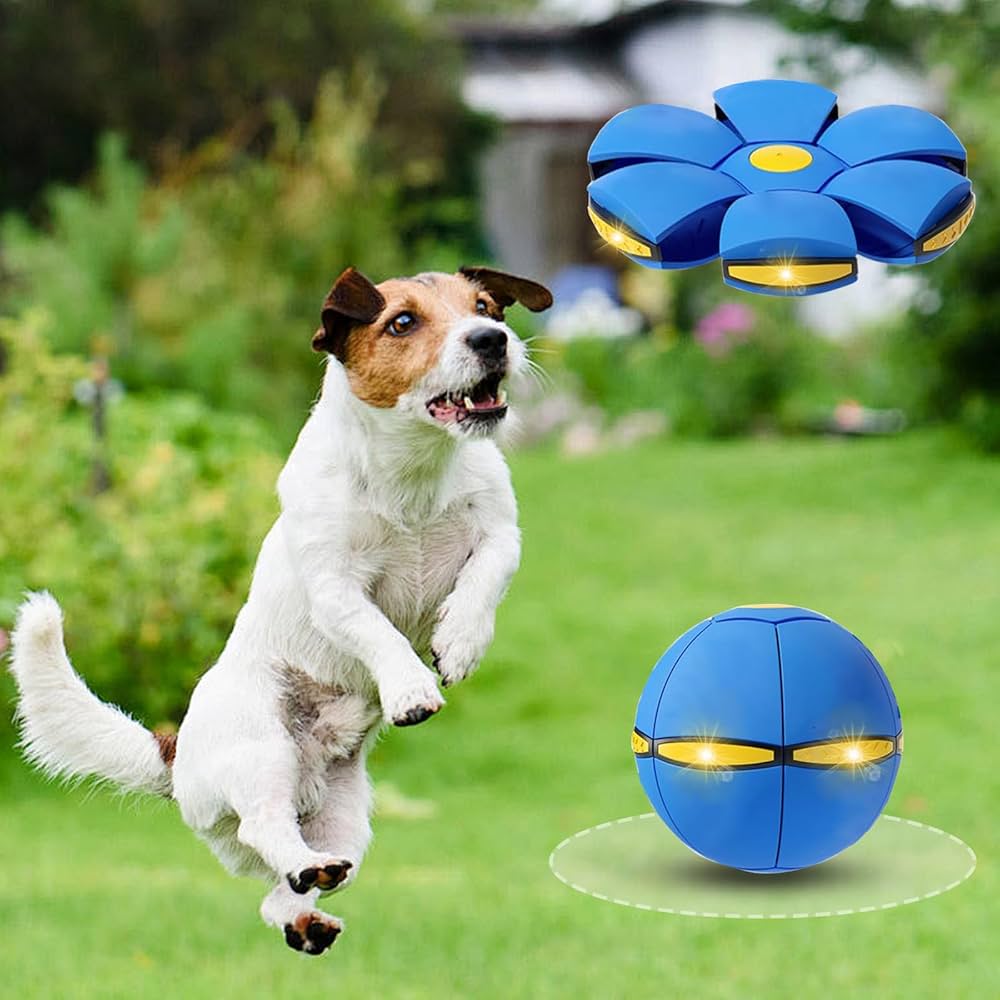 DISCO PLATILLO PELOTA