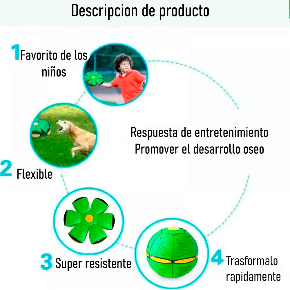 DISCO PLATILLO PELOTA