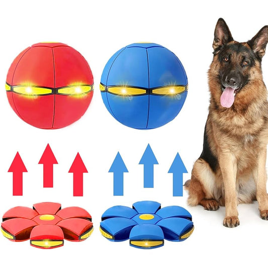 DISCO PLATILLO PELOTA